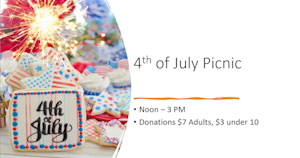 4th of July Picnic